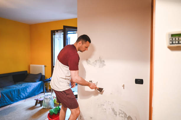 Best Best Mold Removal Companies  in Angola, NY